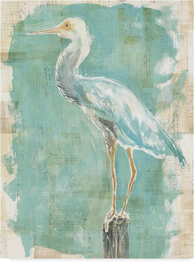Trademark Fine Art, 24x32-Inch Coastal Egret II v2 by Sue Schlabach | Amazon (US)
