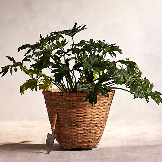 Bamboo Fiber Planter, 24 | Terrain