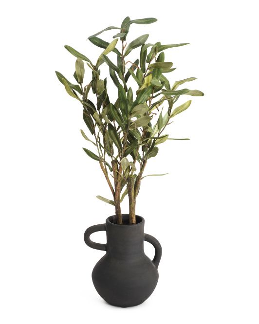 23in Olive Branches In Pot | Plants & Planters | Marshalls | Marshalls