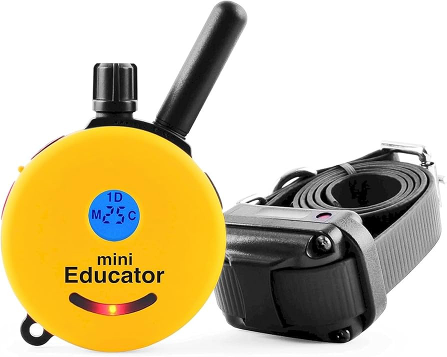 Educator E-Collar Humane Dog Training Collar with Remote, 100 Safe Tapping Stimulation Levels, Ni... | Amazon (US)