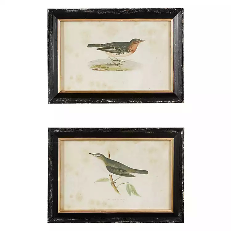 Vintage Bird Framed Art Prints, Set of 2 | Kirkland's Home