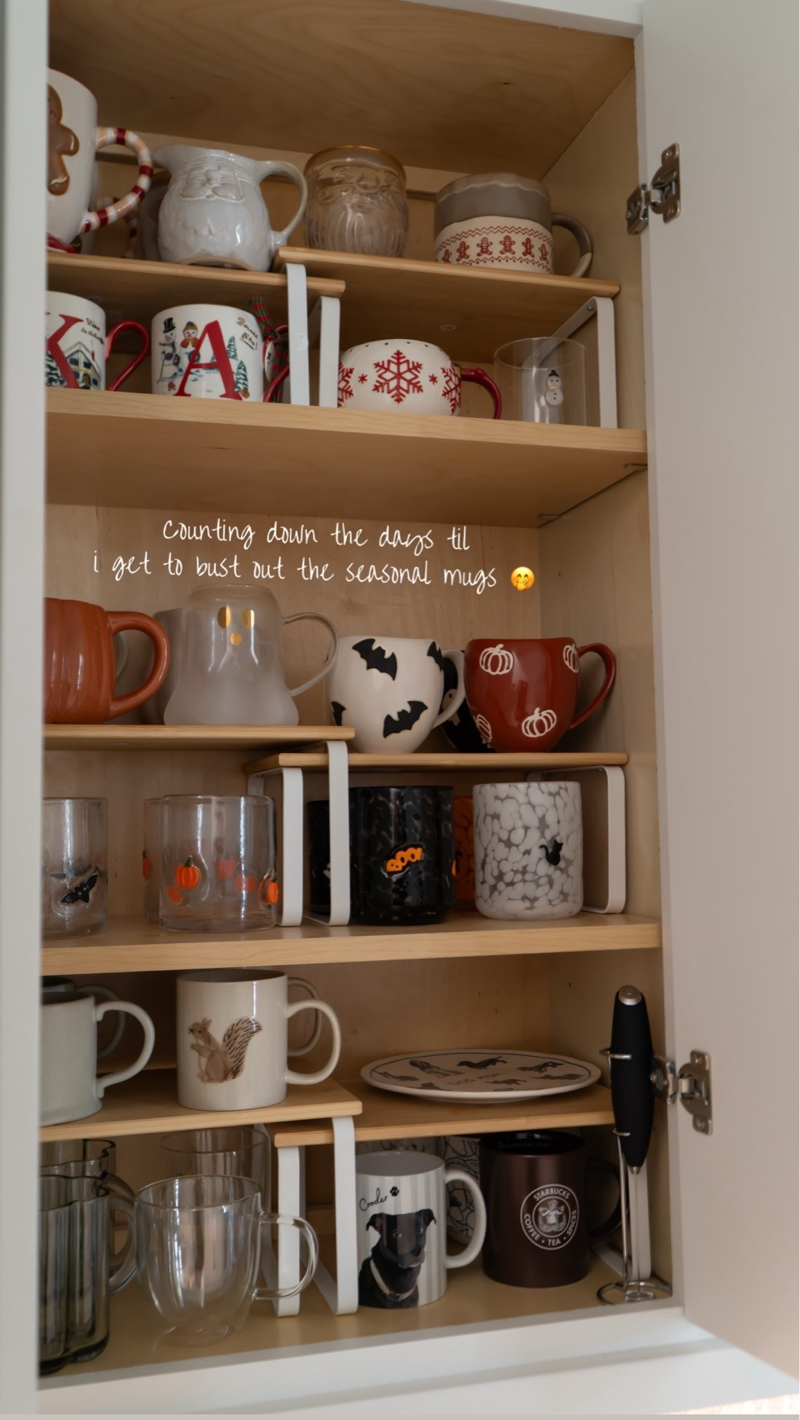 Linked what I could + ones I love! 🍂🤎🎃 

Halloween mugs | Halloween 2026

#LTKHome #LTKSeasonal