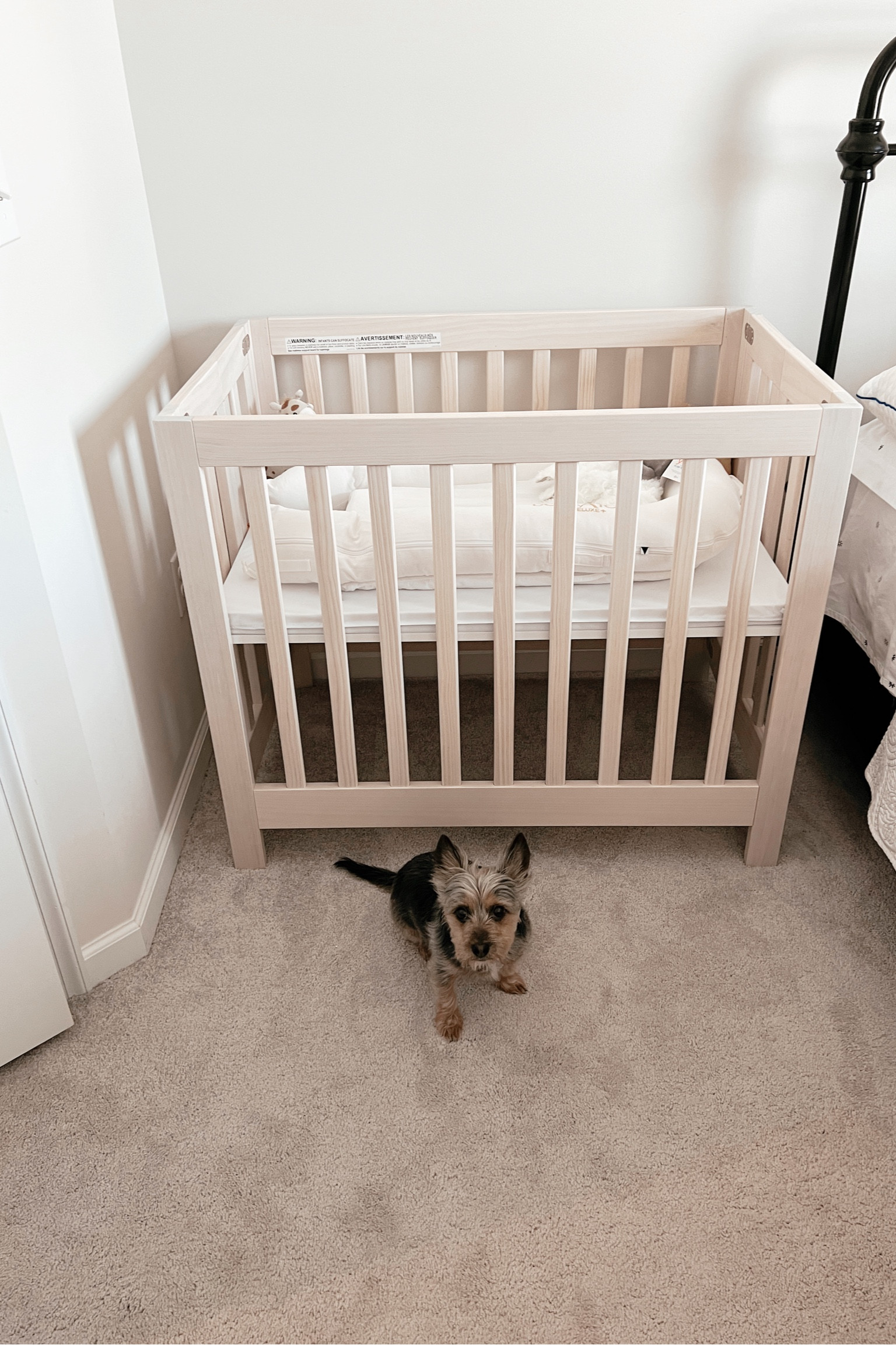 #LTKhome #LTKbaby #LTKbump