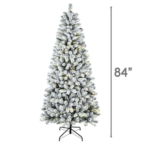 (B2) Pre-Lit LED Flocked Fraser Fir Christmas Tree, 7' | At Home