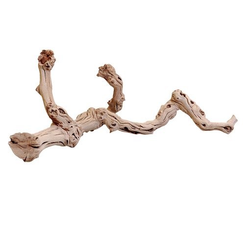 Zoo Med Sandblasted Grapevine, Large, 18 to 24-Inches | Amazon (US)