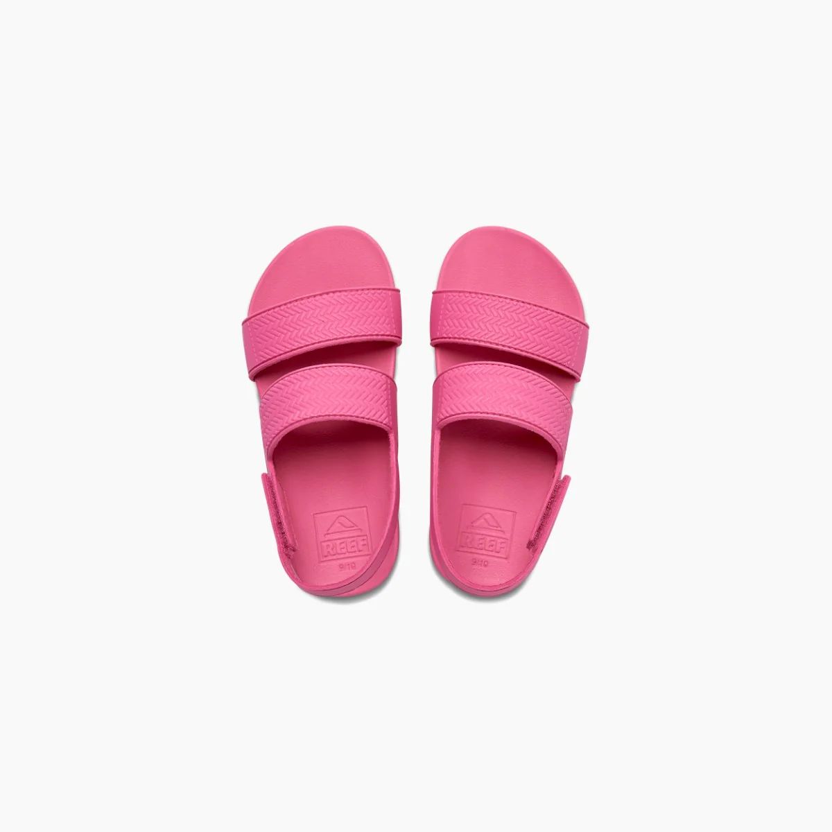 Kids Water Vista | Reef Dynamic