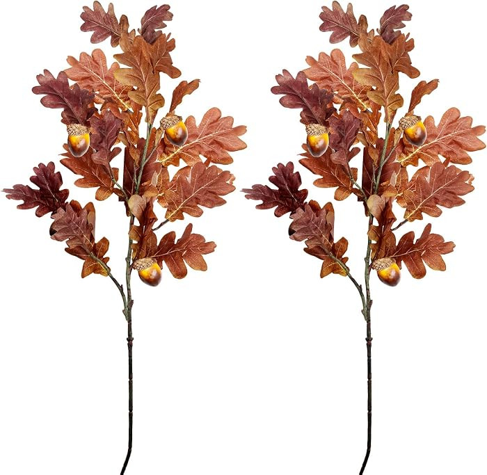 SNAIL GARDEN 2 Pcs 39.3in /100cm Faux Oak Fall Floral Stems with Acorns,Large Artificial Fall Stems for Vases Filler, Autumn Decor Oak Leaves Artificial Fall Flowers Wedding Porches Courtyards | Amazon (US)