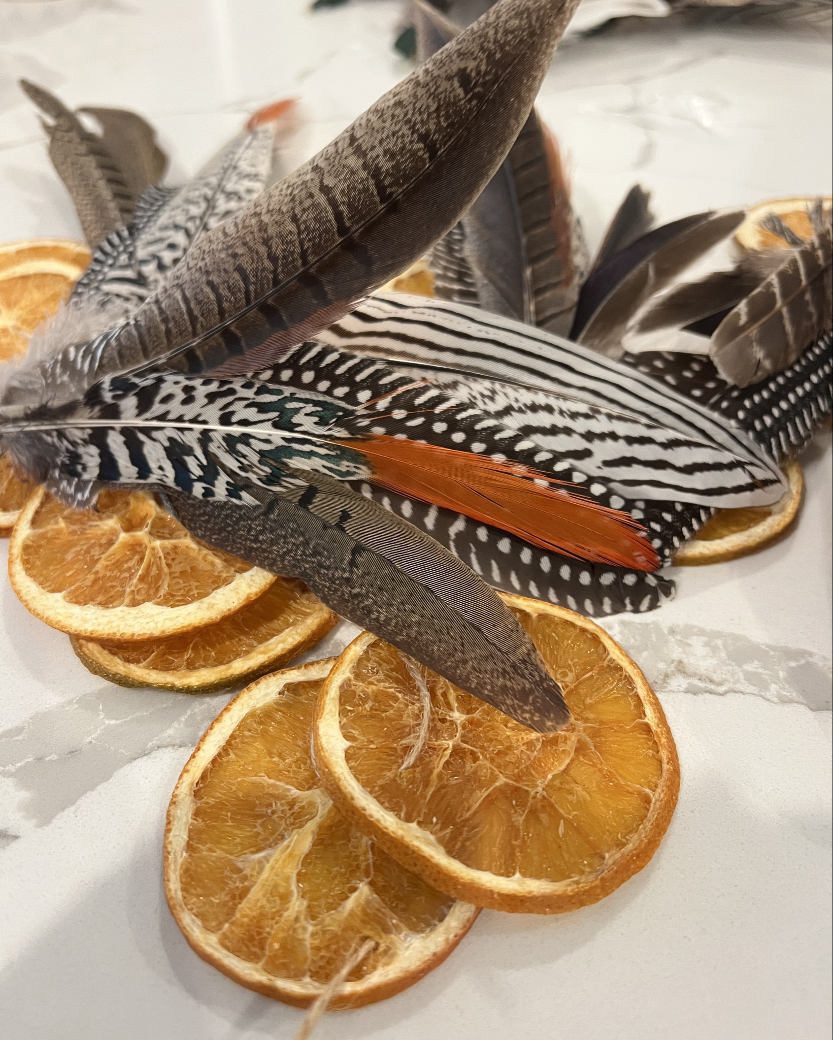 I’m trying something new this year. Decorating early in a way that I can easily switch Thanksgiving to Christmas quickly. Here are some of the things I have gotten  

#LTKSeasonal #LTKHoliday #LTKGiftGuide