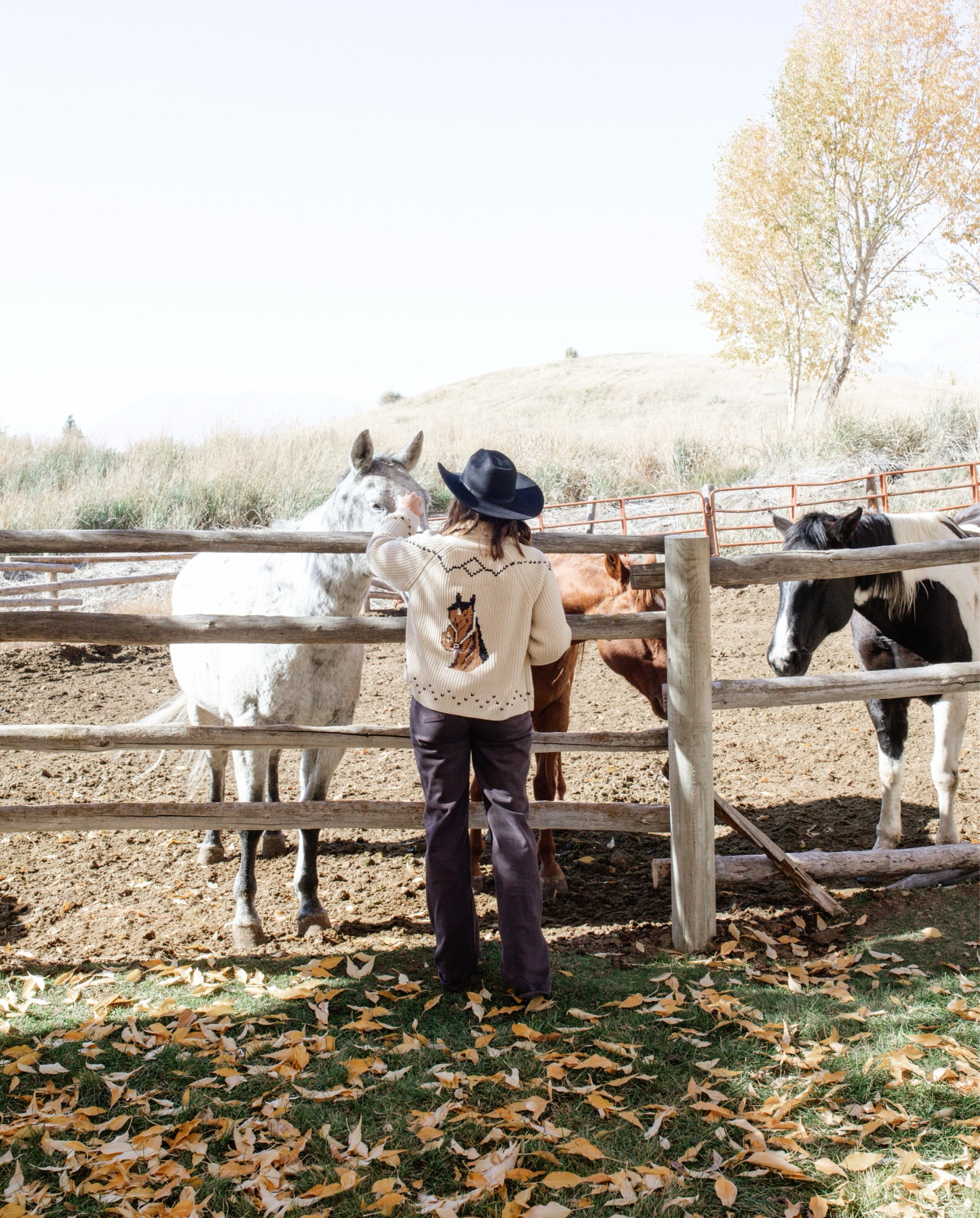 I think he was a fan of my sweater 🐴 


#LTKTravel #LTKStyleTip