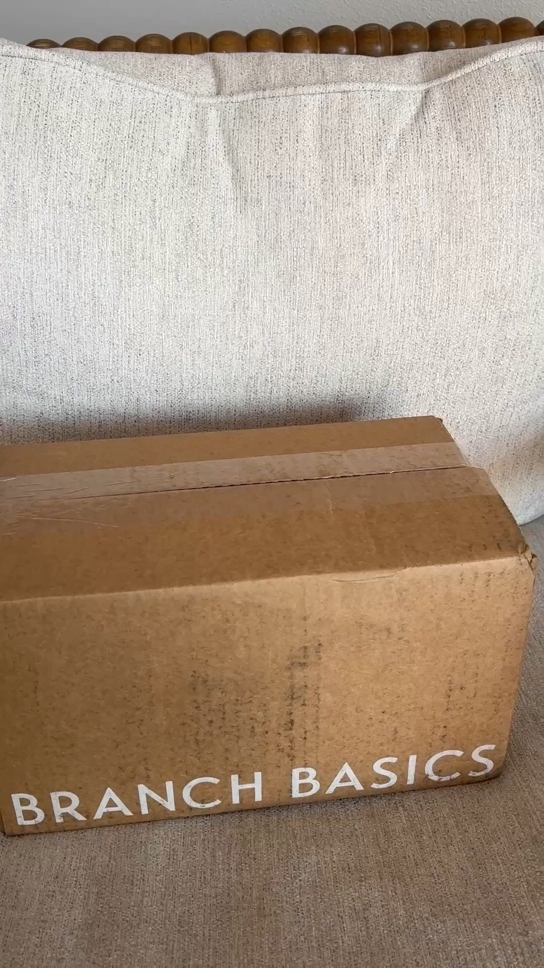 Just got my branch basics order in, and I noticed that there is a trial offer to test the all-purpose cleaner for $5!!

#simplify #simplified #cleaning #cleanhome #nontoxic #smallspace #smallhome #smallapartment #branchbasics 

