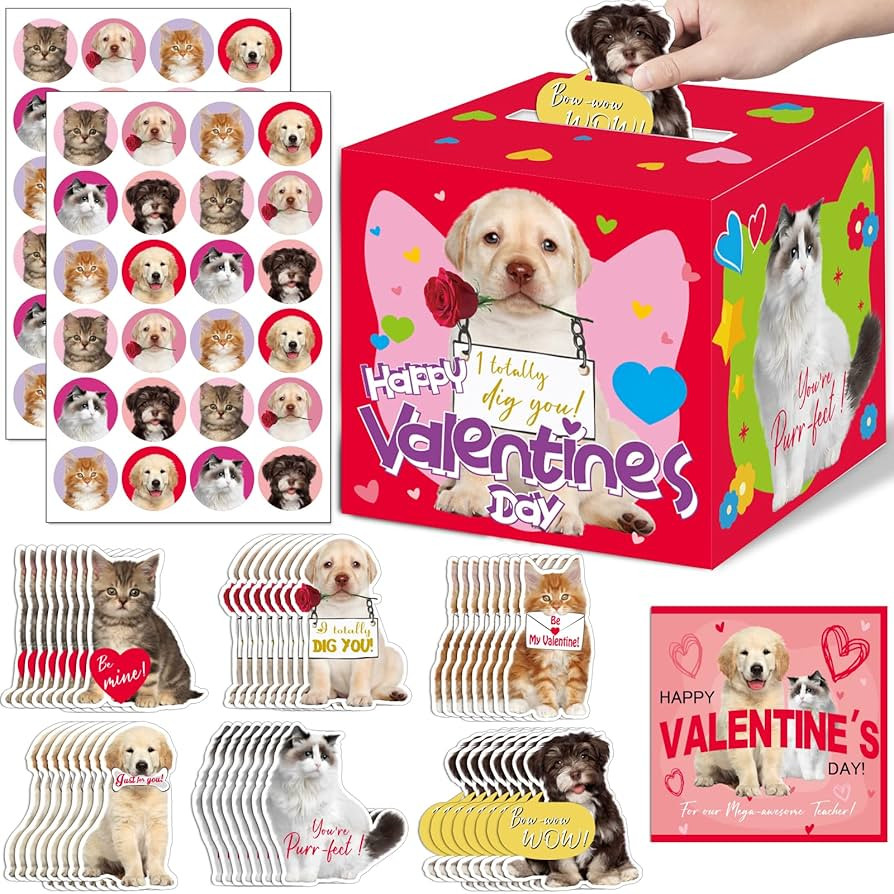 49 Pack Pet Valentine Cards for Kids with DIY Box Dog Cat Valentine's Day Cards Set for School Cl... | Amazon (US)