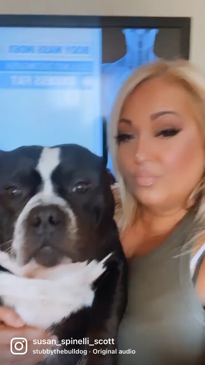 One thing about me. Is love my baby Rocco 🫶🫶🫶🫶

#LTKstorytime #LTKdayinmylife