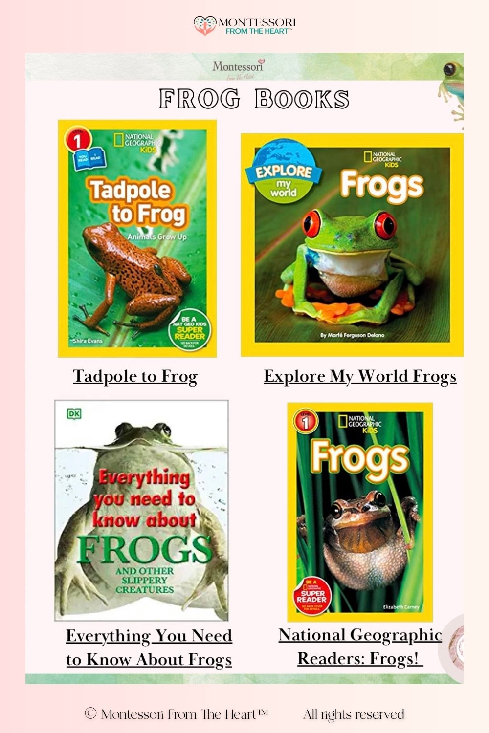 Frog Books for Kids 

#LTKstorytime #LTKHome #LTKKids