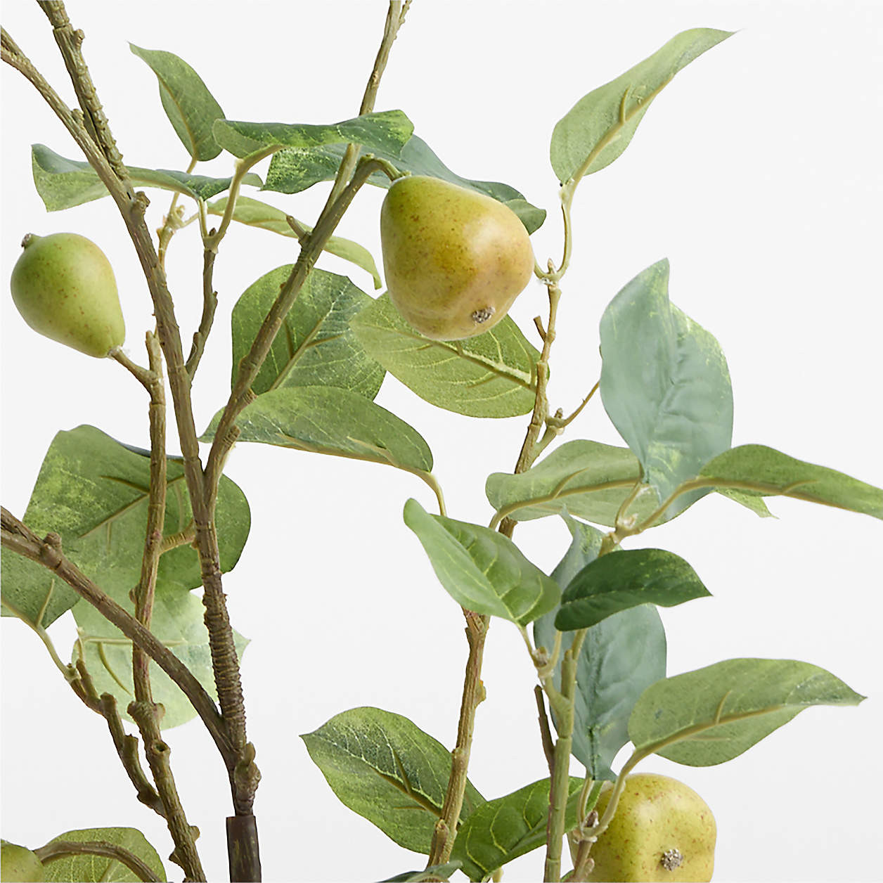 Faux Green Pear Branch 48" | Crate & Barrel | Crate & Barrel