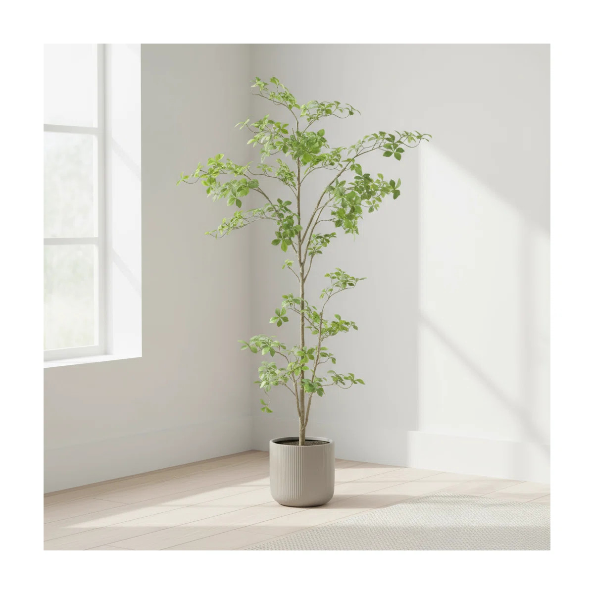 Bonsai Tree Drop-In | Wayfair North America