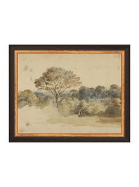 Baroque Watercolor | House of Jade Home