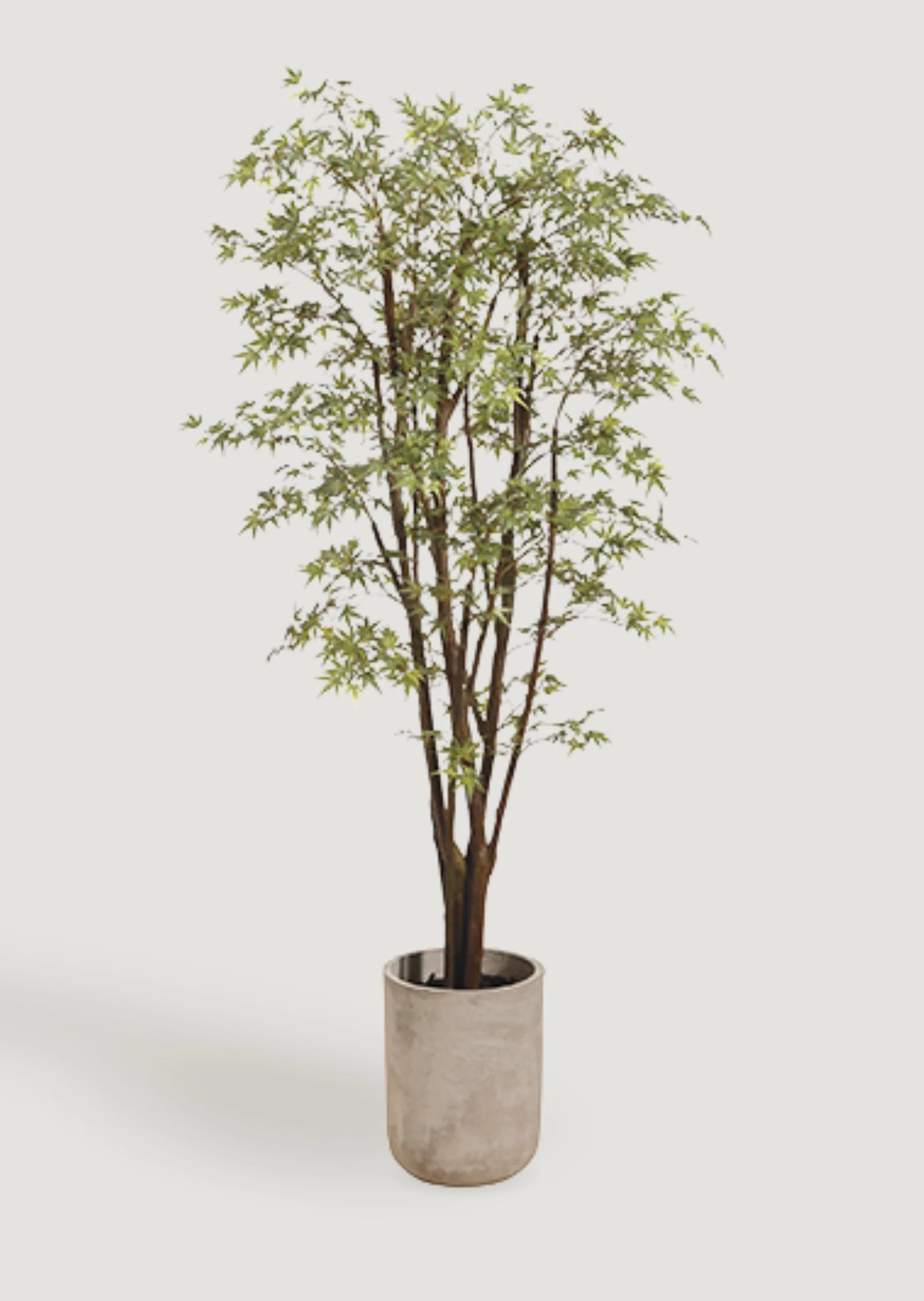 Faux Potted Japanese Maple Tree in Cement Pot - 6.5' | Afloral