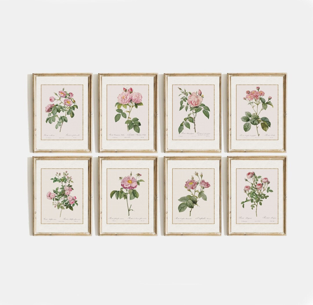 Gallery Set of Eight Vintage Pink Roses for Modern Farmhouse Living Room Decor Country Art for Gi... | Etsy (US)