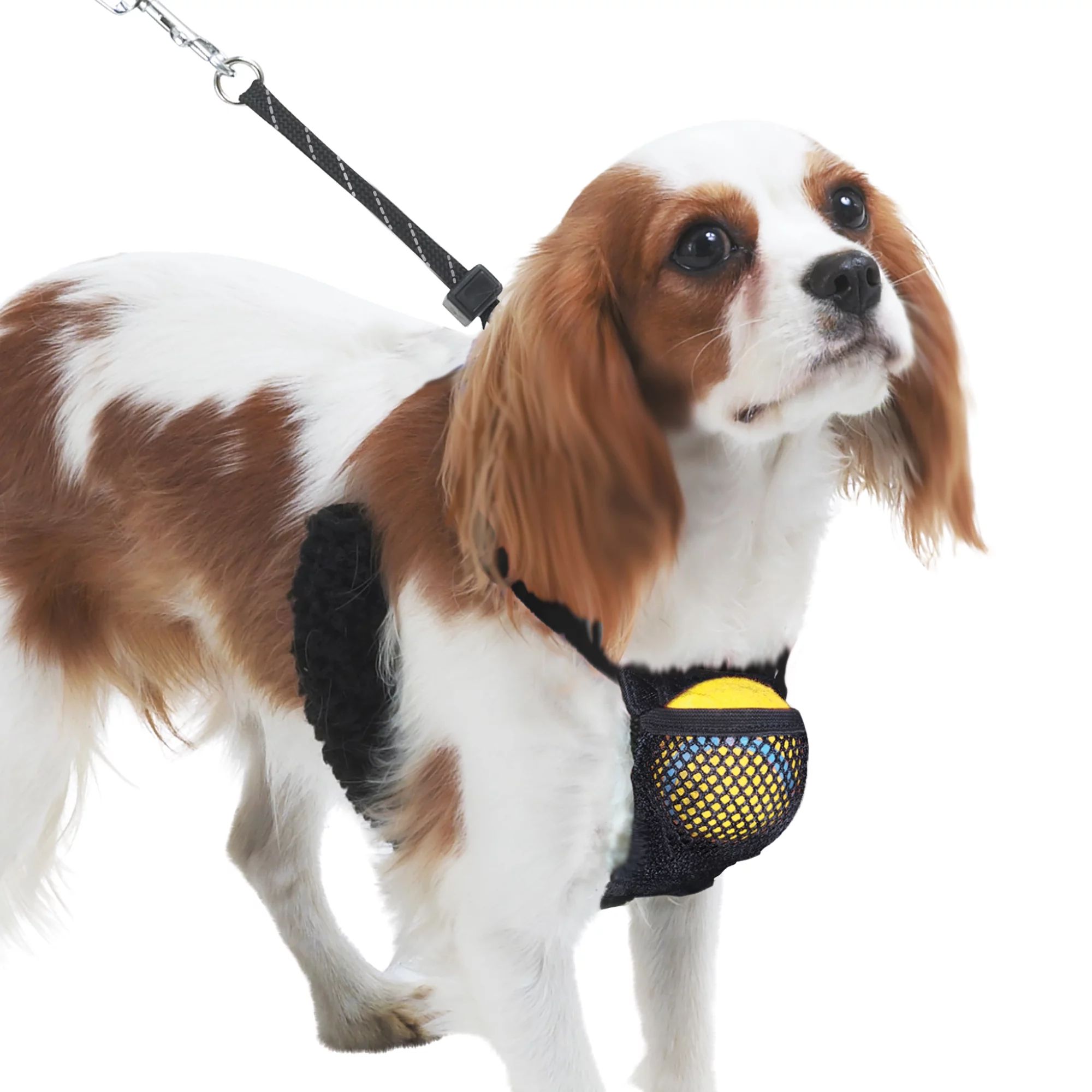 Sporn Nylon Mesh Non-Pulling Dog Harness, Black, S (8" to 14" Chest Size) | Walmart (US)
