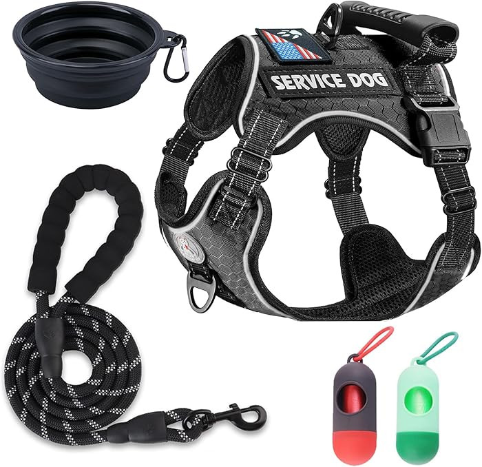 Cymiler Service Dog Vest,No-Pull Dog Harness and Leash Set,Adjustable Oxford Reflective Service D... | Amazon (US)
