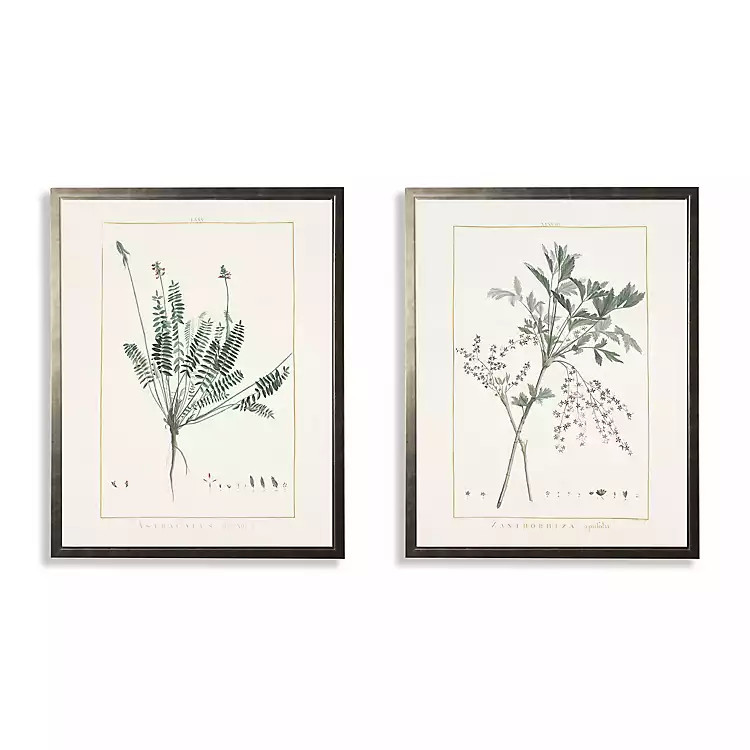 Greenery Botanicals I Framed Art Prints, Set of 2 | Kirkland's Home