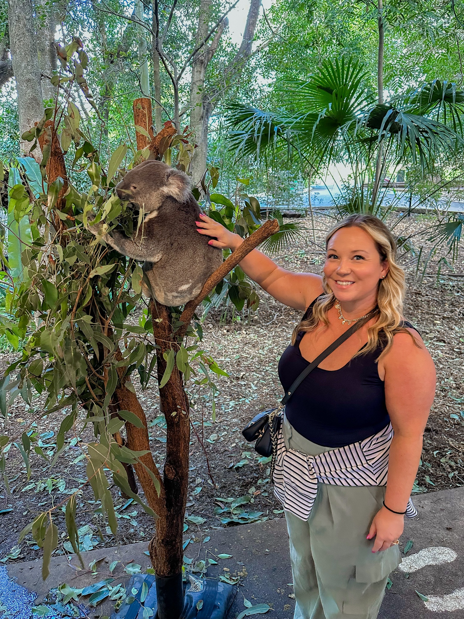 Midsize casual travel outfit 
Abercrombie pants size 32 short
Tank size XL
Sweater size large 

Casual style, travel outfit, midsize style, Abercrombie, fall fashion, cargo pants, Amazon fashion, mom style, size 12 outfits, size 14 outfits, vacation outfit 

#LTKTravel #LTKOver40 #LTKMidsize