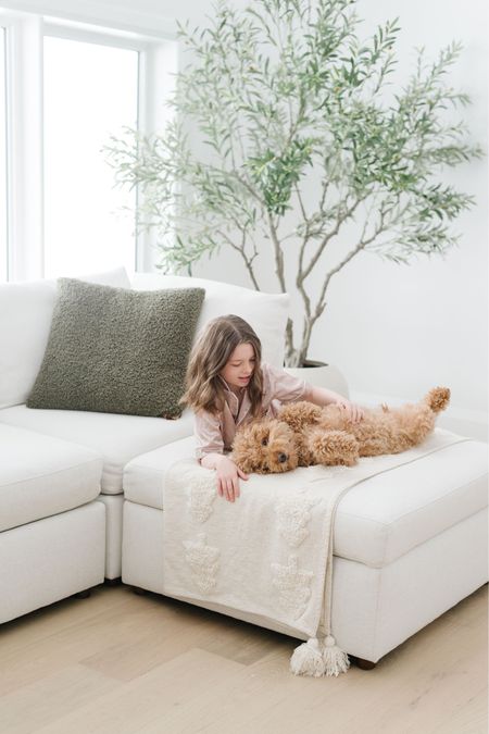 We are loving our new big comfy couch and faux olive tree that looks SO realistic! 
Home Decor
Living Room refresh
New home
Spring home decor

#LTKsalealert #LTKhome #LTKfamily