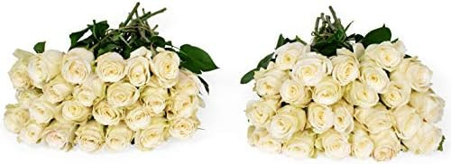 Benchmark Bouquets 50 White Roses Farm Direct (Fresh Cut Flowers) | Amazon (US)