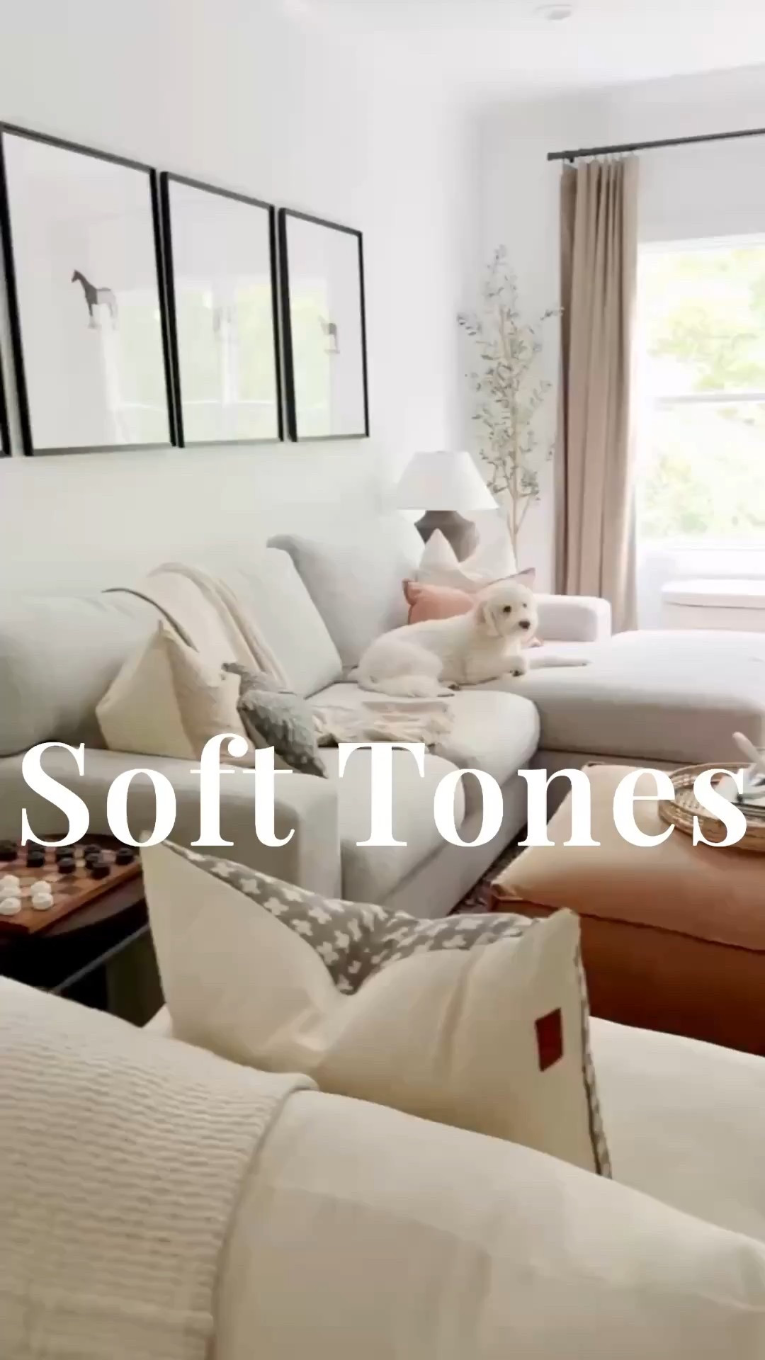 🐶 When your pup loves the sofa as much as you do, you know it’s the coziest spot in the house. Neutral tones, layered pillows, and soft textures make this Modern Classic living room feel like home.

Do you want to bring our dreamy Modern Classic style interior design into your own home? 🏡 You’re in luck! Reserve our Online Interior Design packages today -> https://porcheandco.com/edesign ✨ We can’t wait to work with you & design your home with #porcheandco

#porcheandco #modernclassicstyle #cozylivingroom #neutralhomedecor #modernclassicdecor #livingroomgoals #interiorinspo #homestyling #interiordecorating #moderndecor


#LTKOver40 #LTKvlog #LTKHome