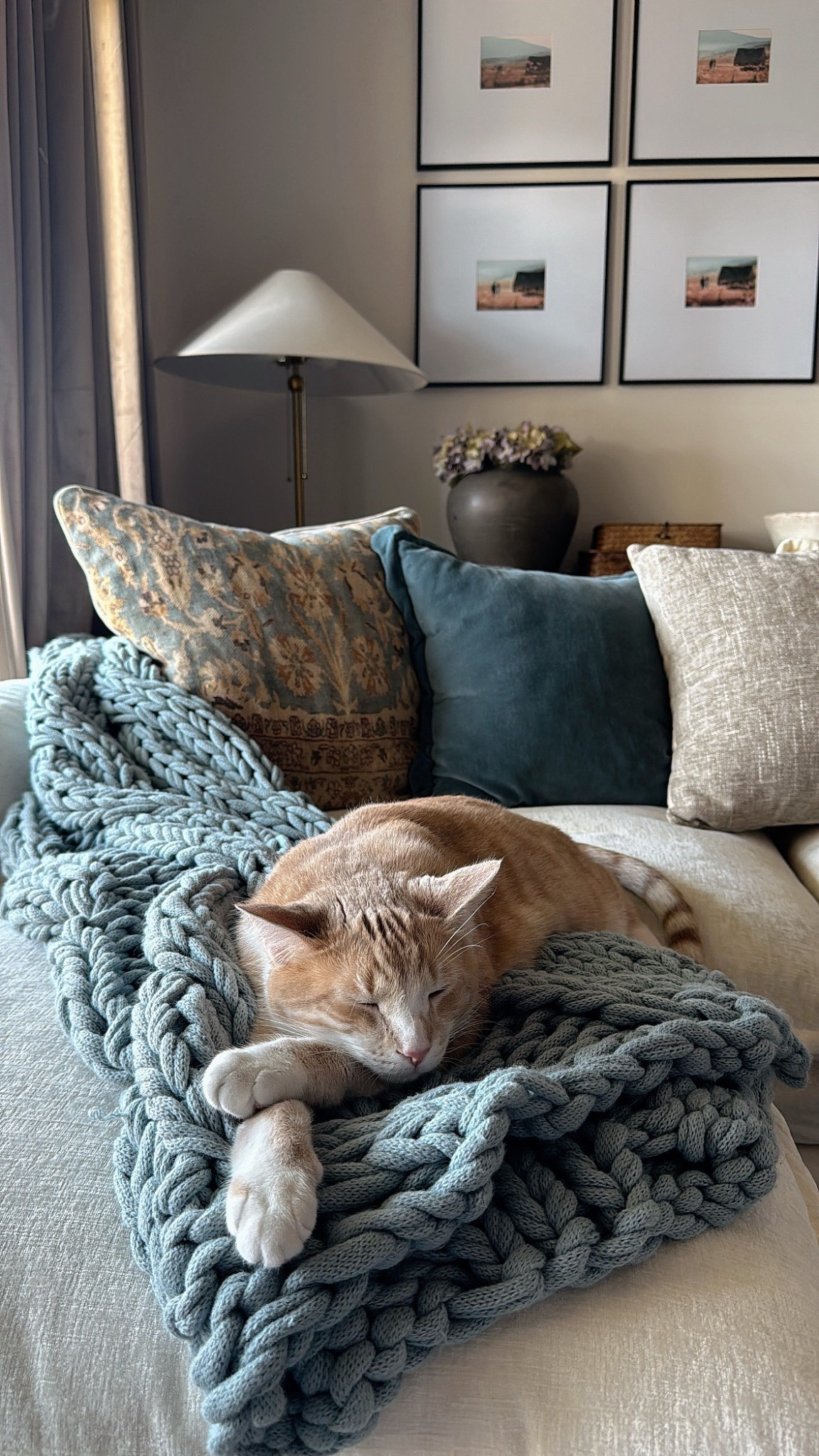 Spring is here! I have been incorporating all the blues in my home! And our kitty Melo is just the star of this shot! Loving this knit blanket from @potterybarn and so does my kitty for his naps! #LTKspring