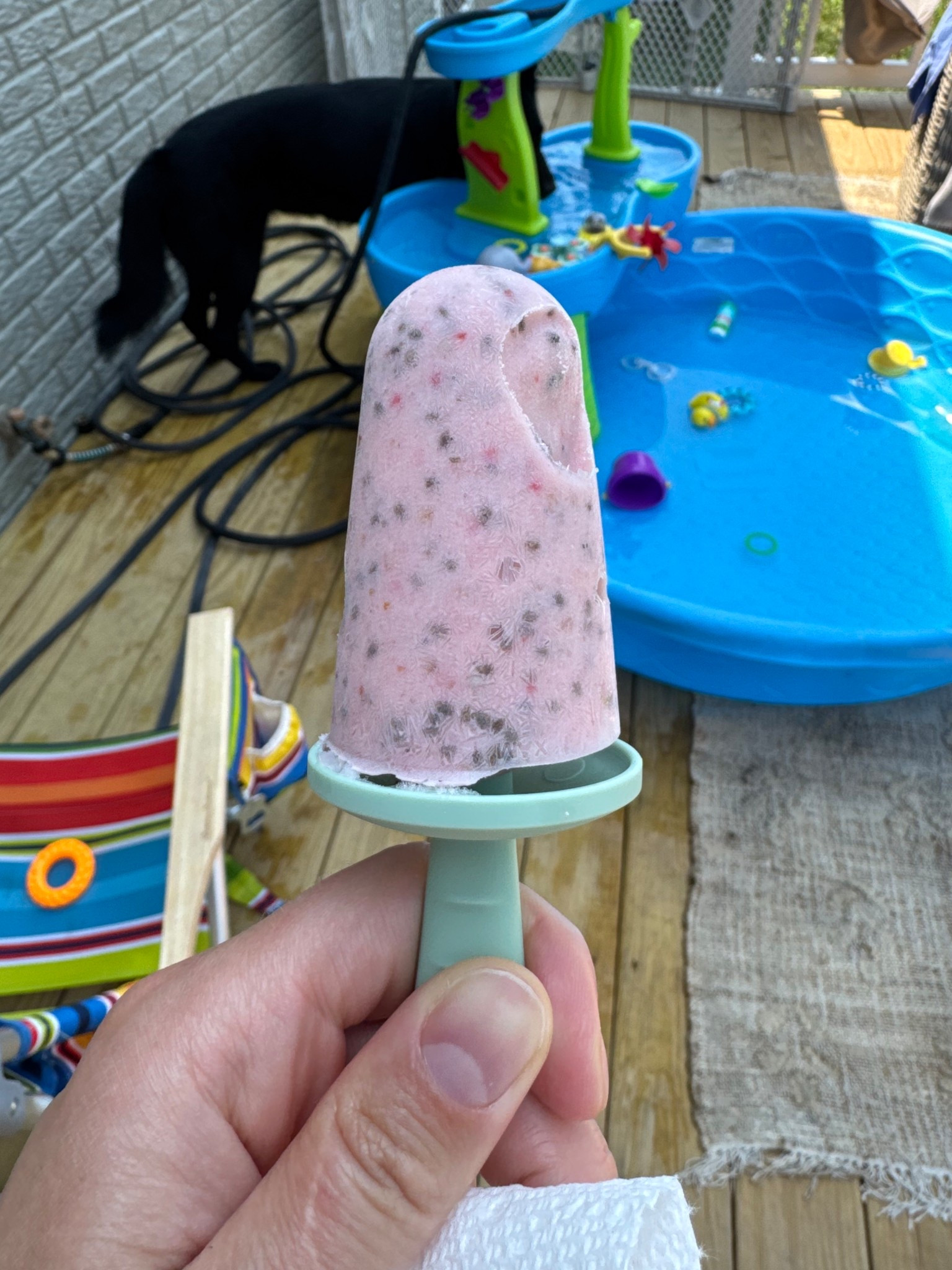 Summer popsicles for the kiddos  

#LTKBaby #LTKSeasonal #LTKKids
