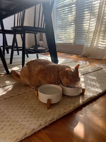 Aesthetic cat/dog water and food bowl set from Amazon 