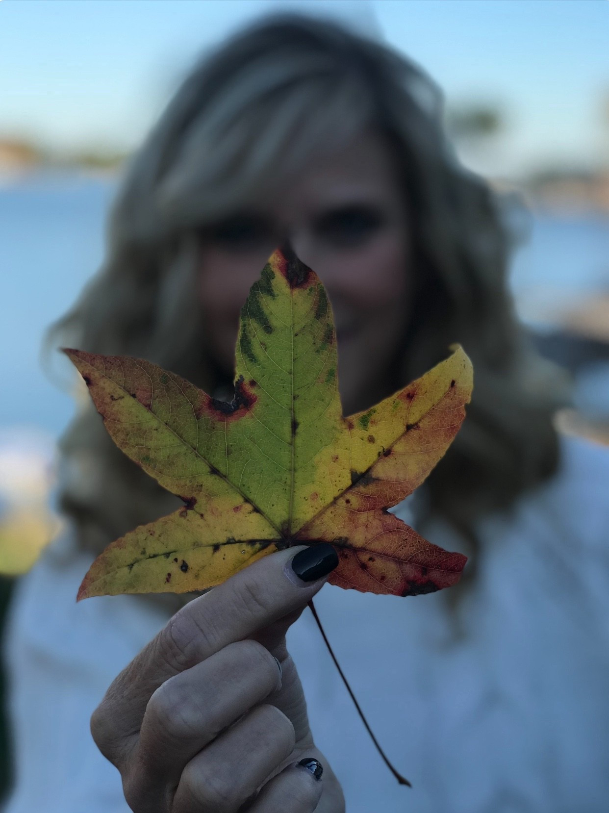 #target #walmart #amazon #fallfinds #fallfashion

#LTKOver40 #LTKSeasonal #LTKFindsUnder50