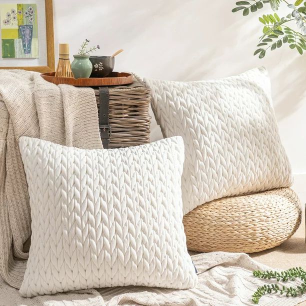 Phantoscope Quilted Velvet Braid Textured Pleated Decorative Throw Pillow, 20" X 20", White, 2 Pa... | Walmart (US)