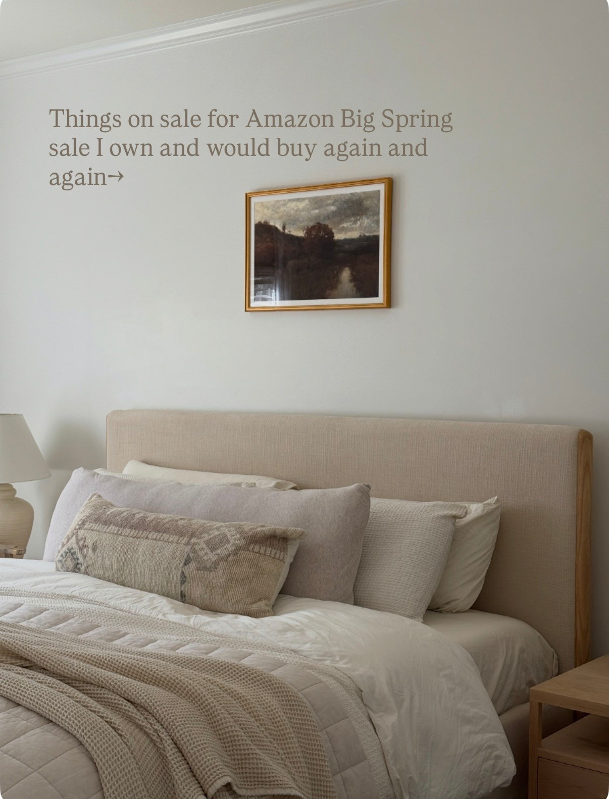Amazon big spring sale picks