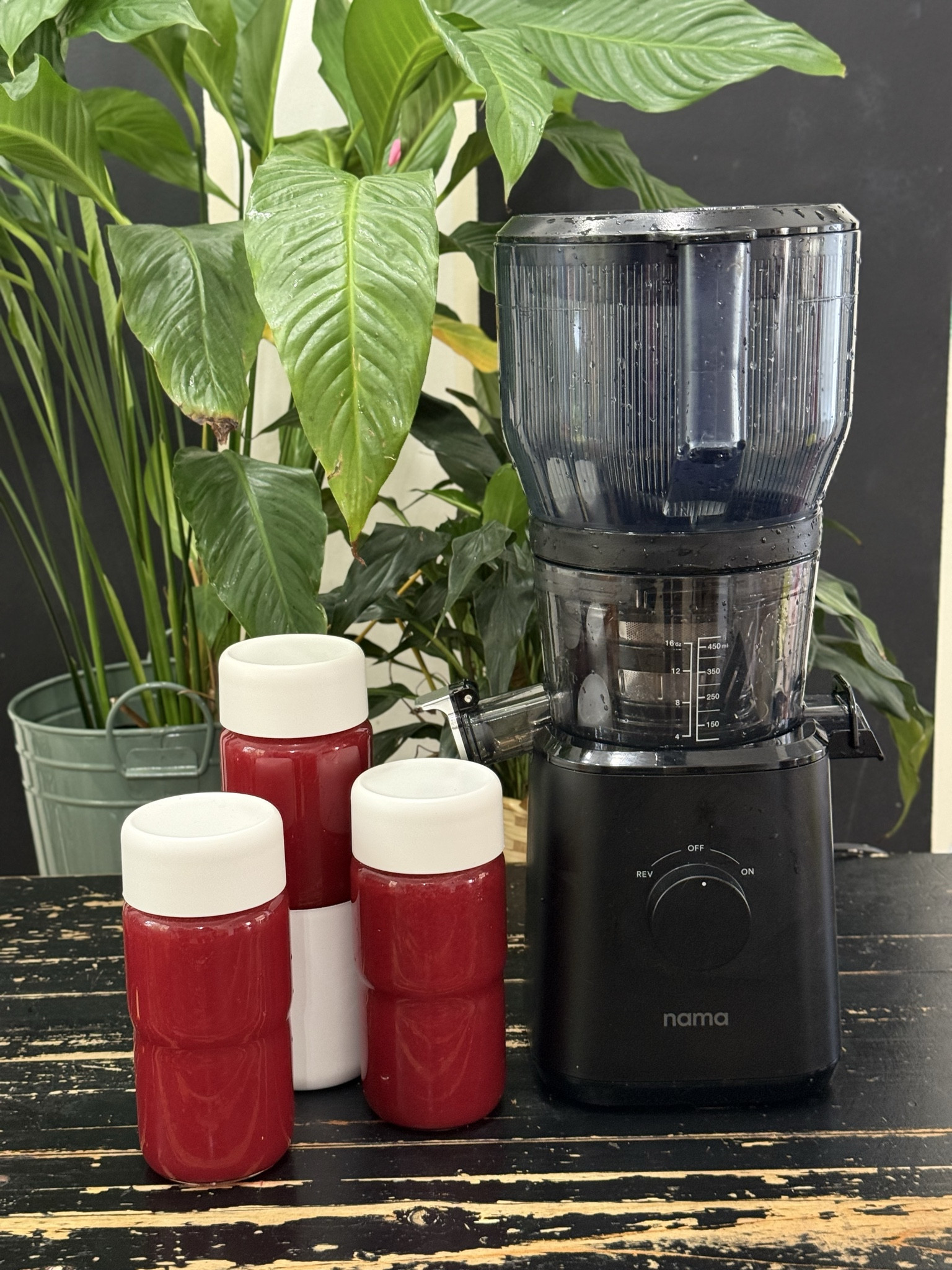 New year, new priorities 💚
If better habits are on your 2026 vision board, a good juicer is a non-negotiable.
I added my go-to juicer to LTK because investing in your health is the best resolution you can make.

#newyeargoals #prioritizehealth #juicingdaily #wellnessjourney #healthynewyear #kitchenmusthave #LTKhome #LTKfinds #LTKsale #shoppingfavorites #onlineshopping #healthinvestment #ShoppingWithPriiincesss #Atlantamom #AtlantaCreator #Atlantacontentcreators

#LTKHoliday #LTKGiftGuide #LTKfitnessgoals