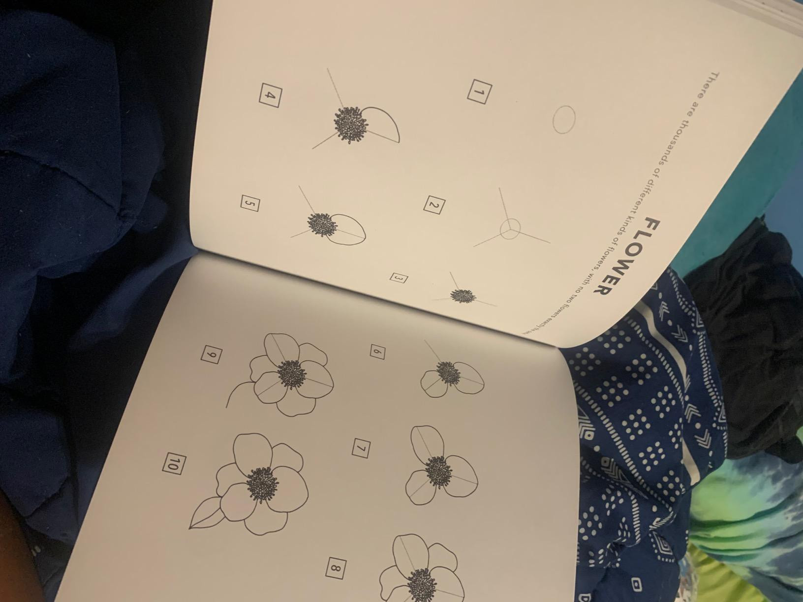 All the Things: How to Draw Books for Kids with Cars, Unicorns, Dragons, Cupcakes, and More (How ... | Amazon (US)