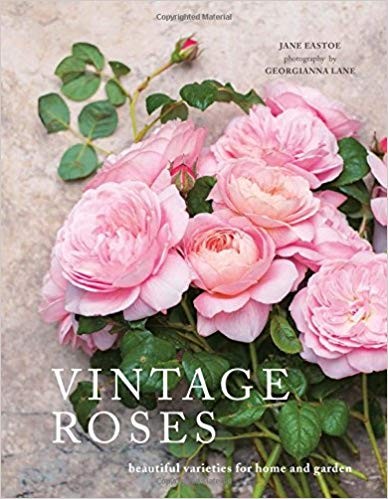 Vintage Roses: Beautiful Varieties for Home and Garden | Amazon (US)