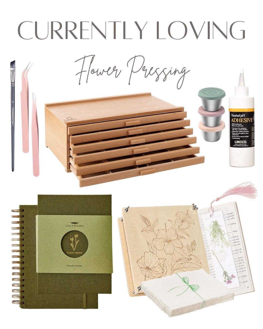 Flower Pressing Hobby
Christmas Gift Idea

#LTKSeasonal #LTKHome #LTKHoliday