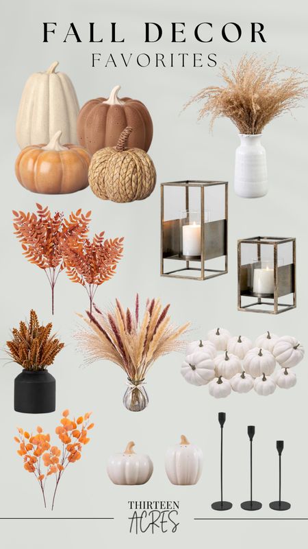 Fall Decor Favorites 🧡

Faux florals, pumpkins, candlesticks.

#LTKSeasonal #LTKhome