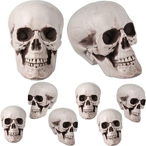 8 Pieces Halloween Skulls Realistic Looking Skulls Human Skeleton Head Skull for Halloween Bar Home  | Amazon (US)