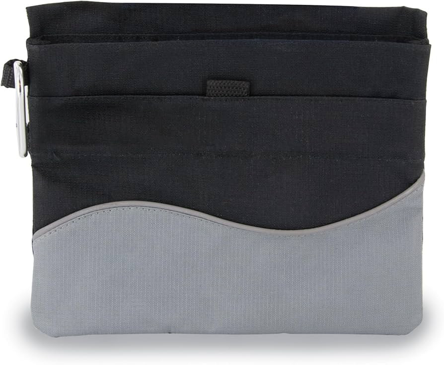 PetSafe Treat Pouch Sport- Durable, Convenient Dog Training Accessory, Standard, Black | Amazon (US)