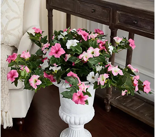 Make Your Selection: Indoor/Outdoor Petunia Urn Filler by Valerie | QVC