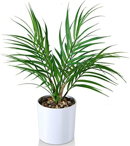 Kazeila Small Artificial Paradise Palm Tree 16 Inch Fake Areca Palm Plant,Faux Desk Plant in Pot ... | Amazon (US)