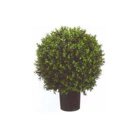 Two 24 Inch x 16 Inch Indoor Outdoor Artificial Boxwood Ball Topiary Bush 2 Foot Potted UV Rated | Amazon (US)