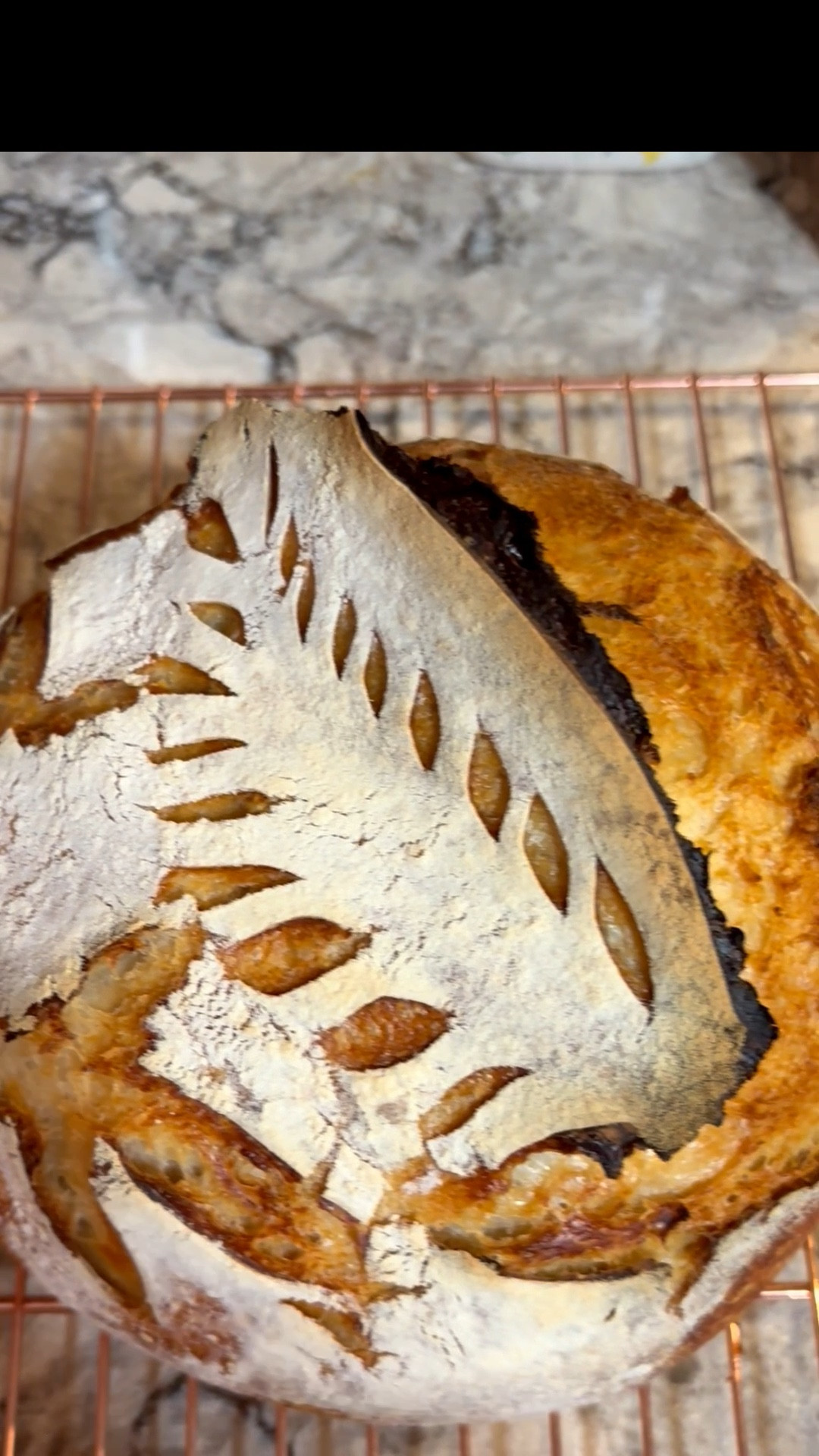 Linking what you will need to start your sourdough journey 🔗🍞🥐 #sourdough #target #homemade


#LTKdayinmylife #LTKfoodie #LTKHome