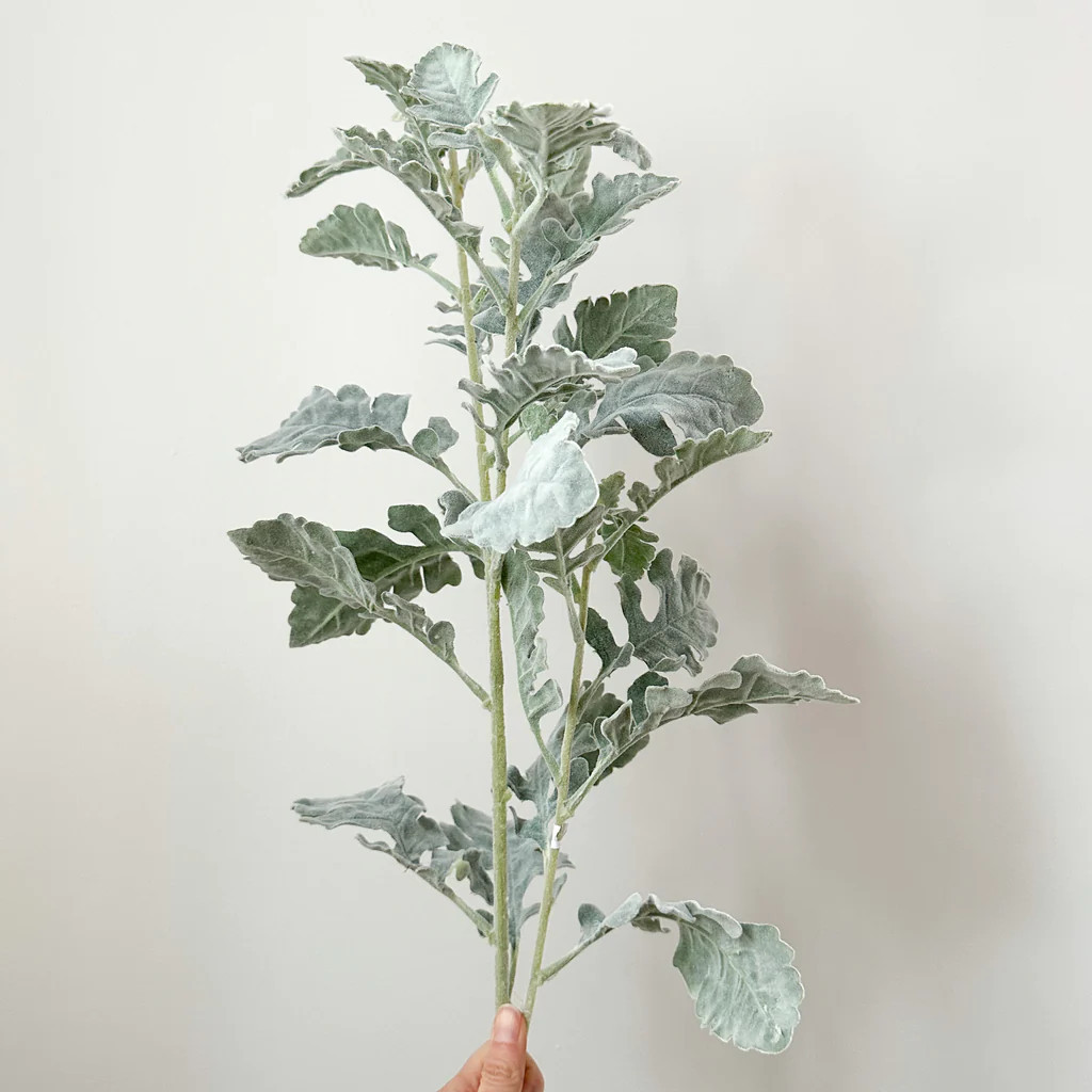 Long Stem Dusty Miller Spray | Purple Rose Home