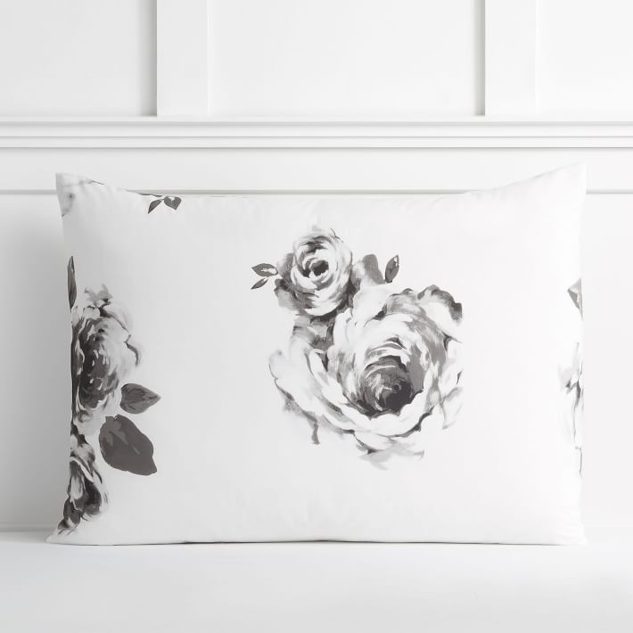 Standard Sham | Pottery Barn (US)