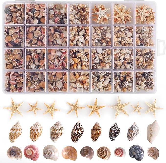 PPCLION 60pcs Tiny Starfish 1800 Pcs Tiny Mini Small Sea Shells for Crafting Spiral Conch Shells ... | Amazon (US)