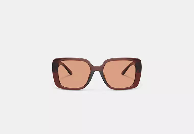 Oversized Square Sunglasses | Coach Outlet US